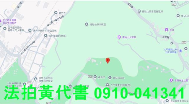 台中大甲法拍墳墓用地-6