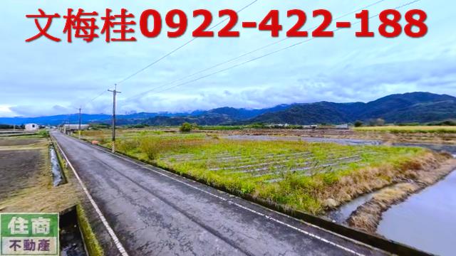 三星農地-4