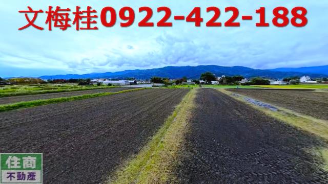 三星農地-5