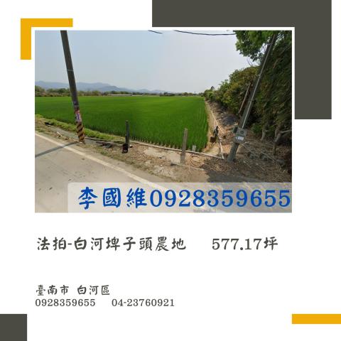 台南拍賣農地-0