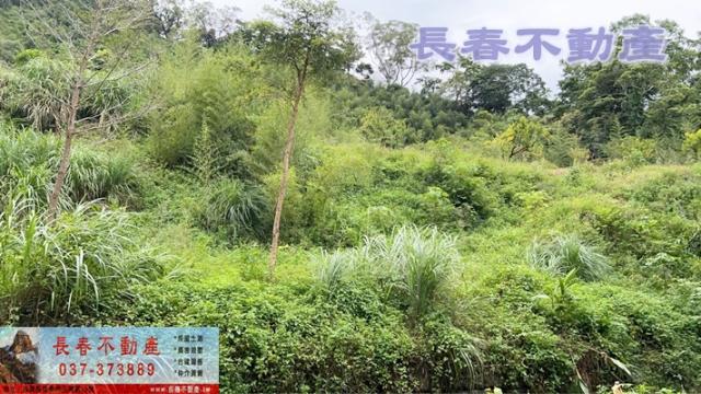 苗栗獅潭農地_建地_林地-1