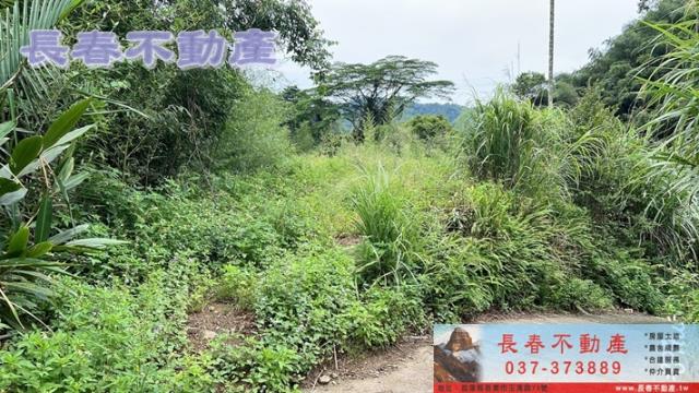 苗栗獅潭農地_建地_林地-2