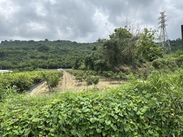 岡山農地-5