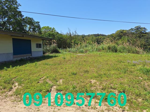 大溪建地_山坡地-2