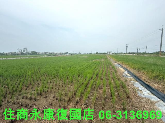 台南新營農地-1