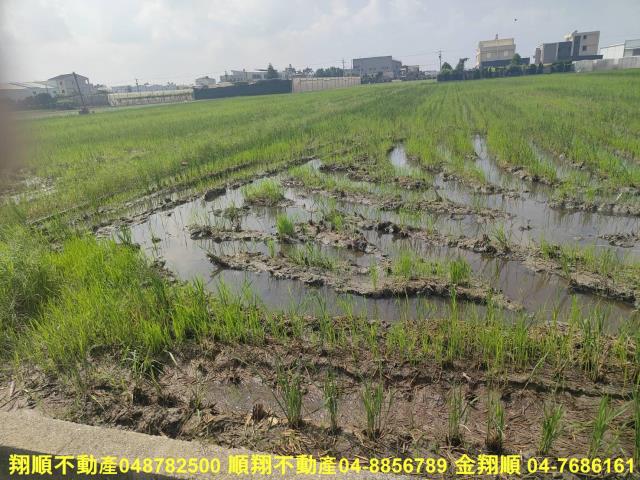 埔鹽農地-10