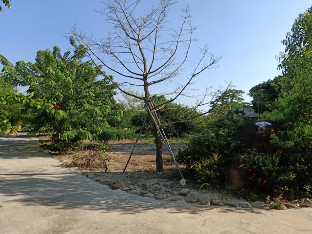 田寮農地-2
