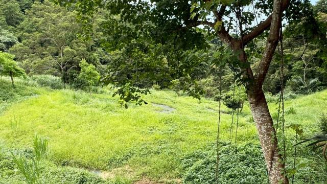 苗栗南庄農地_休閒地_林地-10