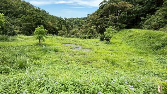 苗栗南庄農地_休閒地_林地-12