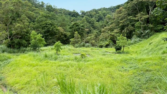 苗栗南庄農地_休閒地_林地-13