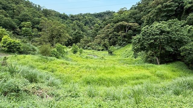 苗栗南庄農地_休閒地_林地-3