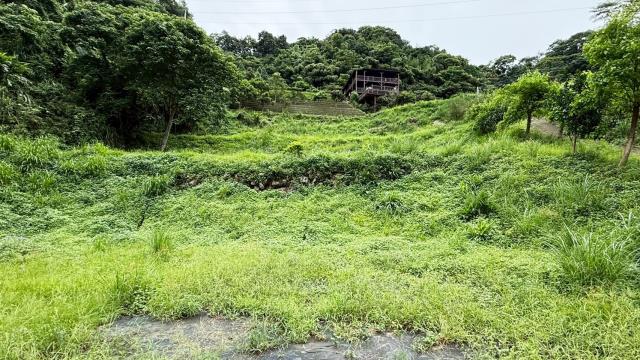 苗栗南庄農地_休閒地_林地-4