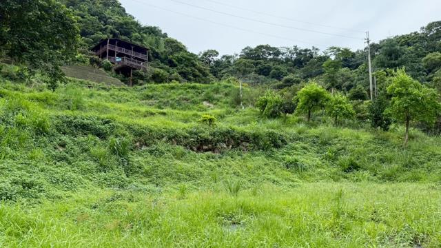 苗栗南庄農地_休閒地_林地-5