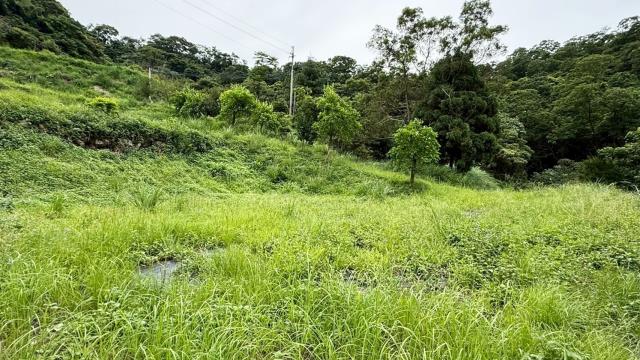 苗栗南庄農地_休閒地_林地-6