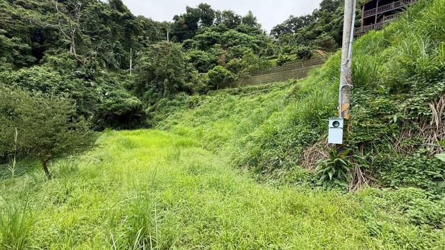 苗栗南庄農地_休閒地_林地-8