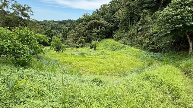苗栗南庄農地_休閒地_林地-9