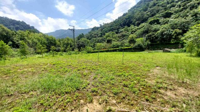 新竹橫山農地_山坡地_休閒地-3