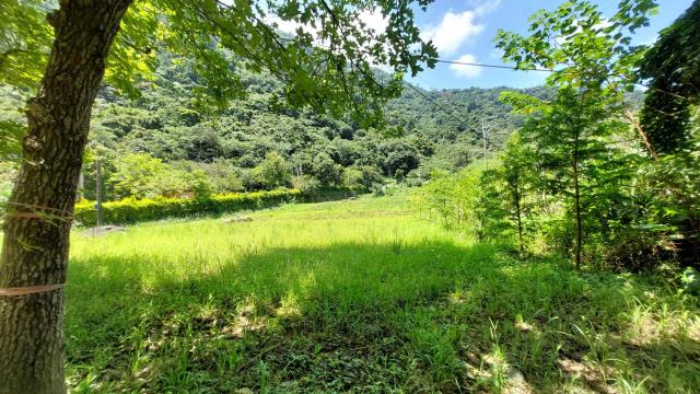 新竹橫山農地_山坡地_休閒地-9