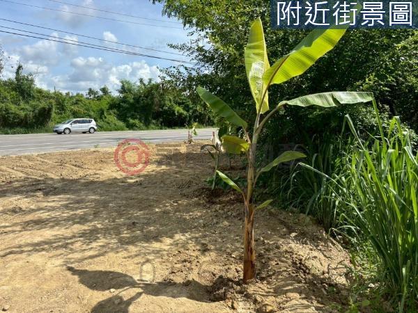 台南新化農地_建地-1