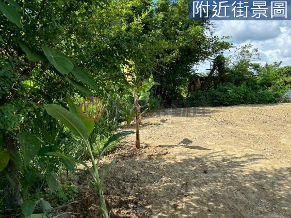 台南新化農地_建地-4