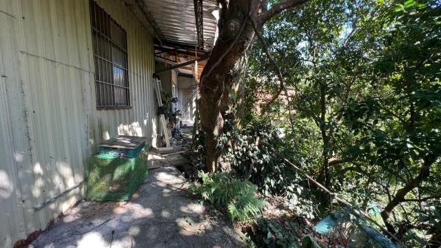 新竹竹東農地_建地_休閒地-11