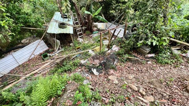新竹竹東農地_建地_休閒地-13