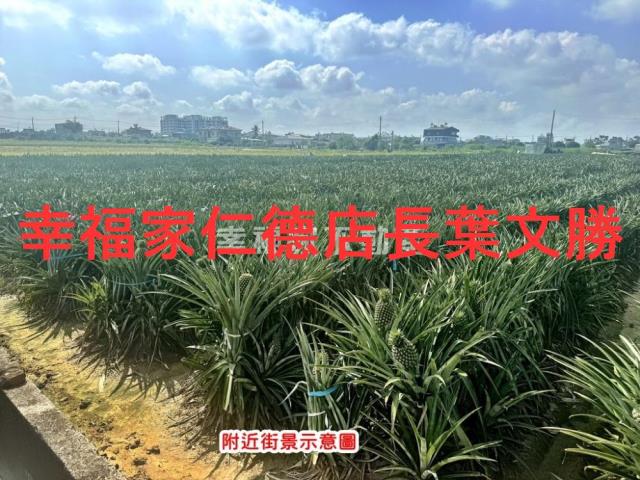 台南農地-9