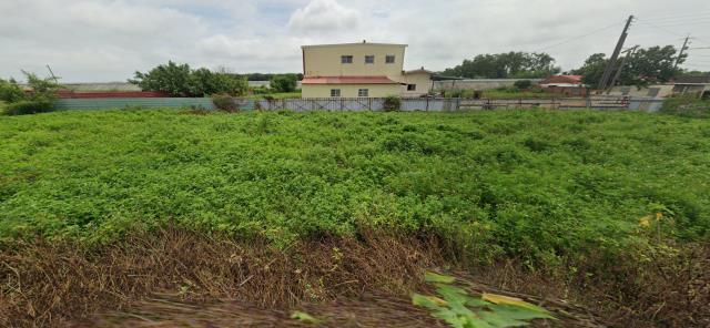 嘉義六腳建地拍賣-8