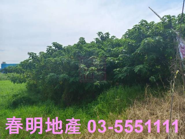 新竹新豐農地-3