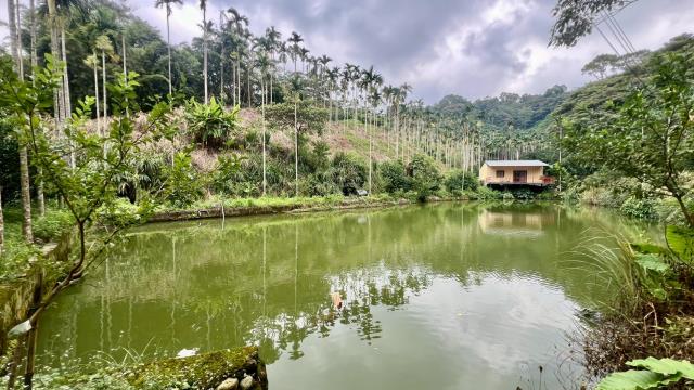 關西農地_山坡地-15