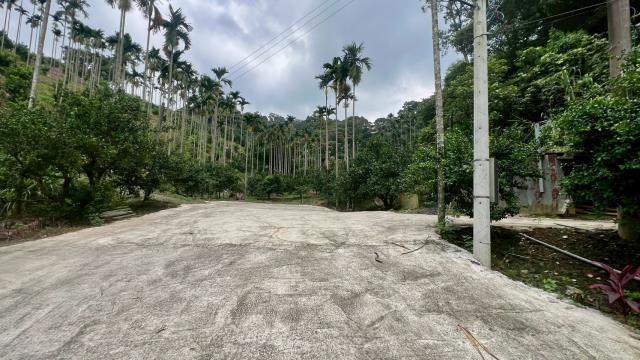 關西農地_山坡地-9