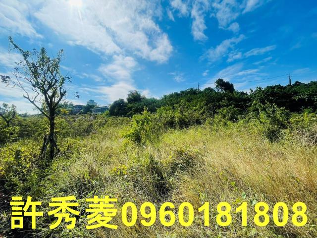 高雄燕巢農地-3