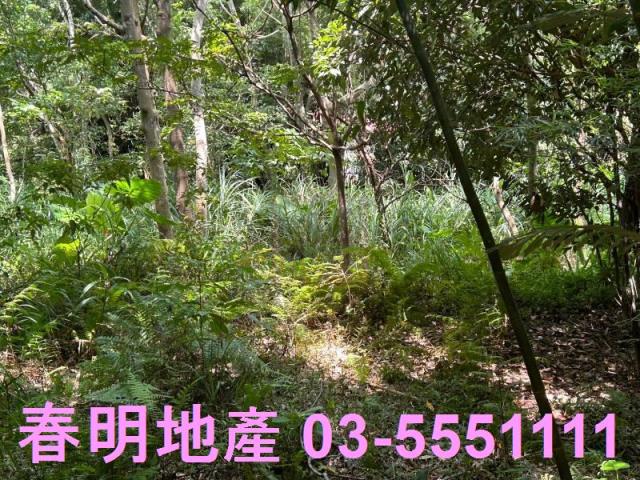峨眉建地-3