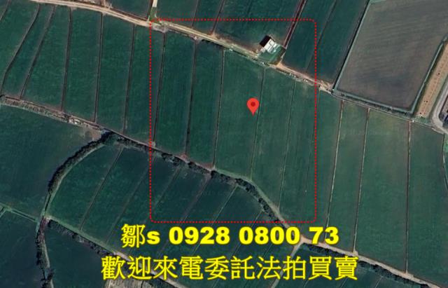 楊梅農地法拍-14