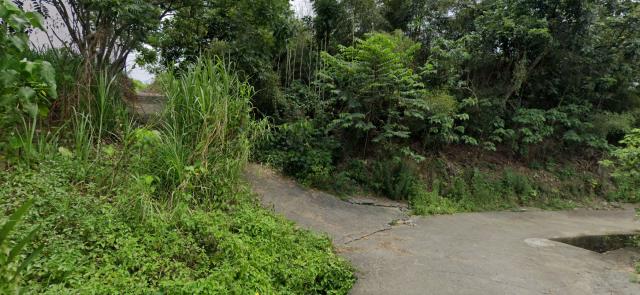 南投名間法拍農地_山坡地-12