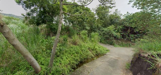 南投名間法拍農地_山坡地-13