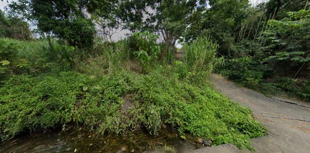 南投名間法拍農地_山坡地-9