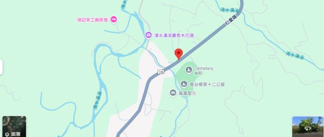 南投鹿谷法拍農地-14