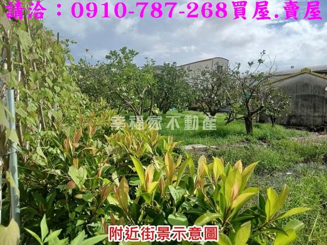 台南麻豆農地_建地-6