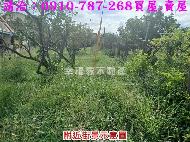 台南麻豆農地_建地-7