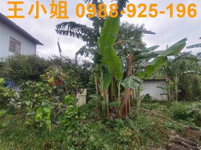龍潭農地-9