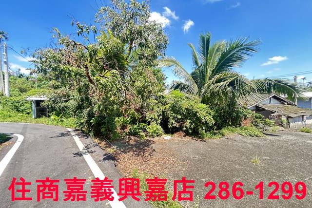 番路農地_建地-10