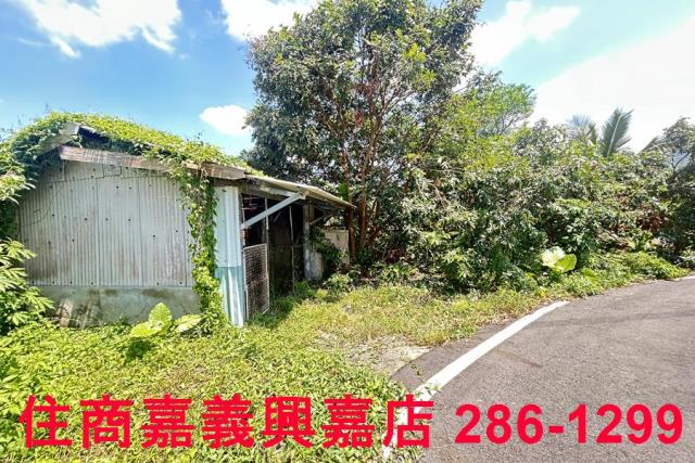 番路農地_建地-11