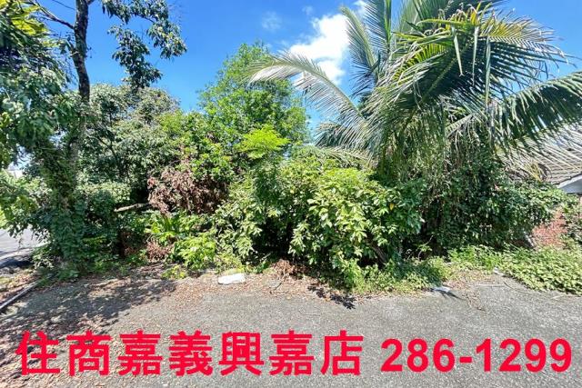 番路農地_建地-9