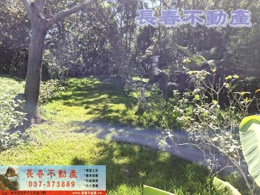 苗栗造橋農地_建地_休閒地-10