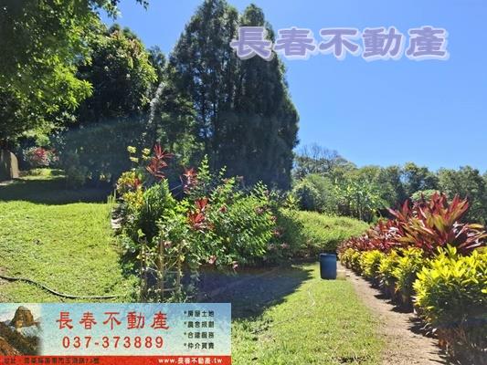 苗栗造橋農地_建地_休閒地-12