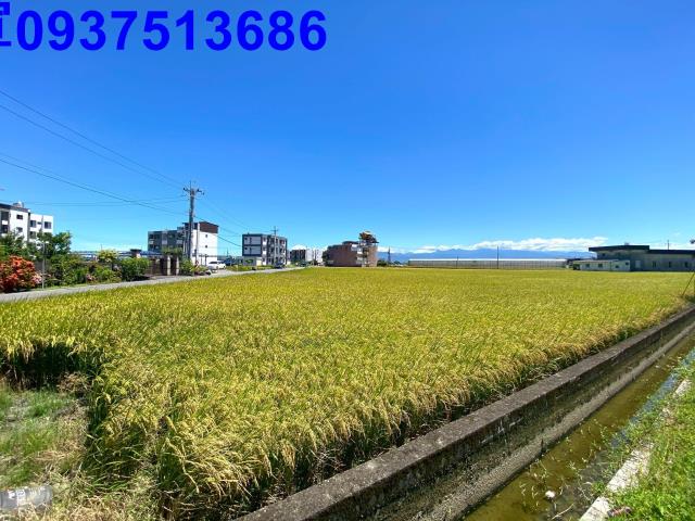 宜蘭壯圍農地-4
