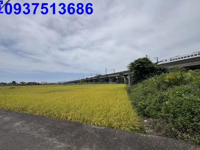 宜蘭宜蘭市農地-15