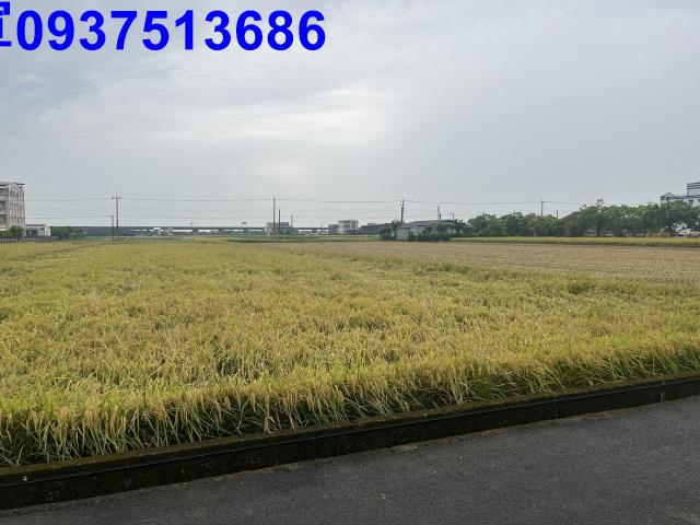 宜蘭市農地-8