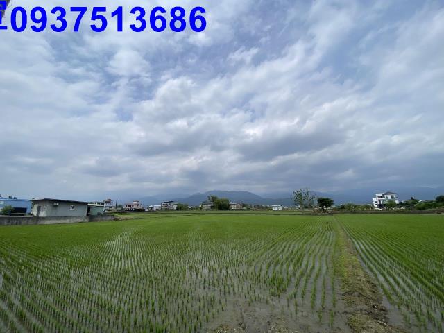 員山農地-13